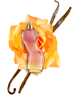 Wood, Vanilla, Musk