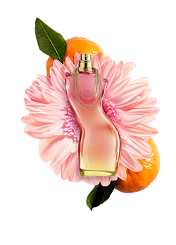 Mandarin, Lavender, Apple