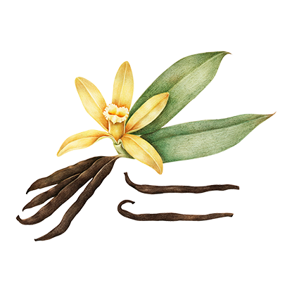 alt.perfume-notas-fondo-s-eau-florale
