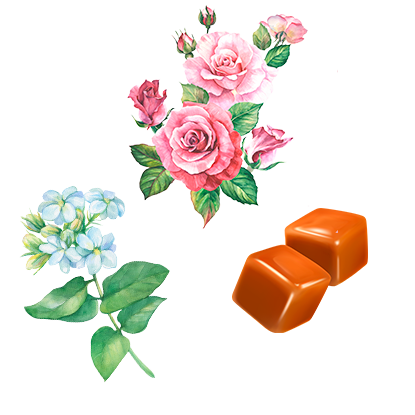 alt.perfume-notas-corazon-sweet-dream